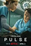 Пульс