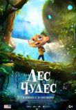 Лес чудес