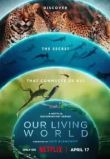 Наш живой мир