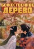 Божественное древо
