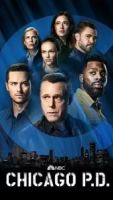 Полиция Чикаго 13 сезон 16 серия