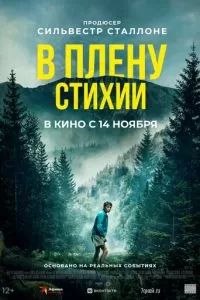 В плену стихии 2024