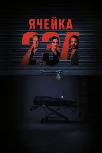 Ячейка 234 2024