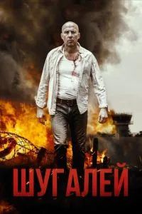 Шугалей 2020