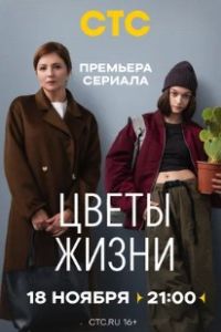 Цветы жизни 2024