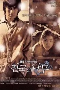 Райское дерево 2006