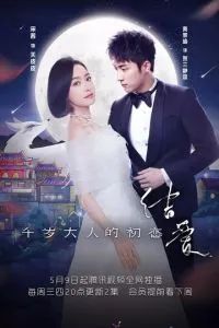 Узелок любви: Первая любовь Его Превосходительства 2018