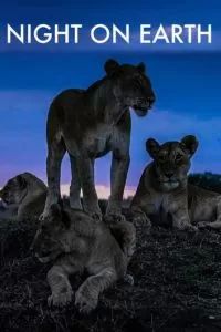 Ночь на Земле 2020