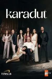 Чёрная шелковица 2024 Чёрная шелковица 2024