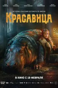 Красавица 2026 Красавица 2026