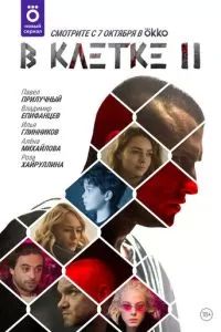 В клетке 2019