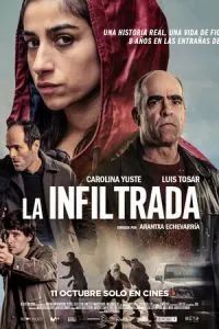 Под прикрытием 2024 Под прикрытием 2024