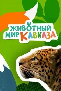 Животный мир Кавказа 2022