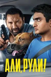 Али, рули! / Стубер 2019