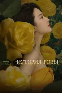 История розы 2024