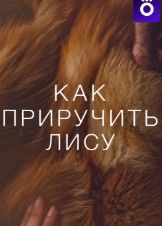 Как приручить лису 2025