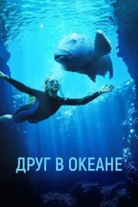 Друг в океане 2022