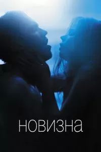 Новизна 2017