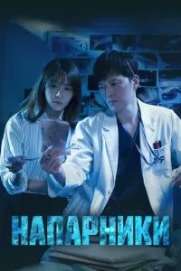 Напарники / Парочка следователей / Партнеры по правосудию 2018