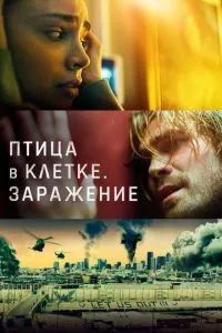 Птица в клетке 2020