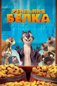 Реальная белка 2013