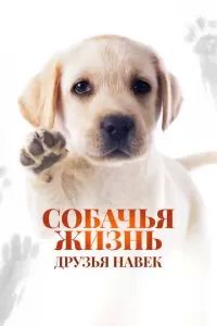 Собачья жизнь: Друзья навек 2023 Собачья жизнь: Друзья навек 2023