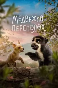 Медвежий переполох 2023