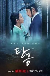 Дорогой Хон-нан 2025