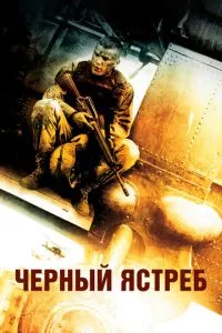 Чёрный ястреб Чёрный ястреб